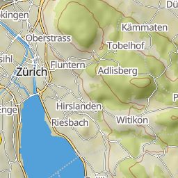 rooot_outdoor preview