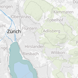 swissy_v2_light preview